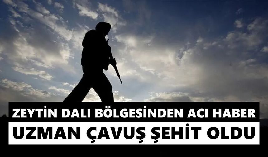 MSB duyurdu: Görevi sırasında rahatsızlanan asker şehit oldu