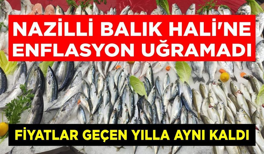Nazilli Balık Hali’ne enflasyon uğramadı!
