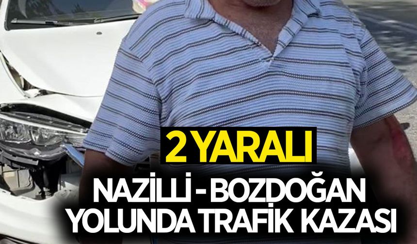 Nazilli - Bozdoğan yolunda kaza! 2 yaralı