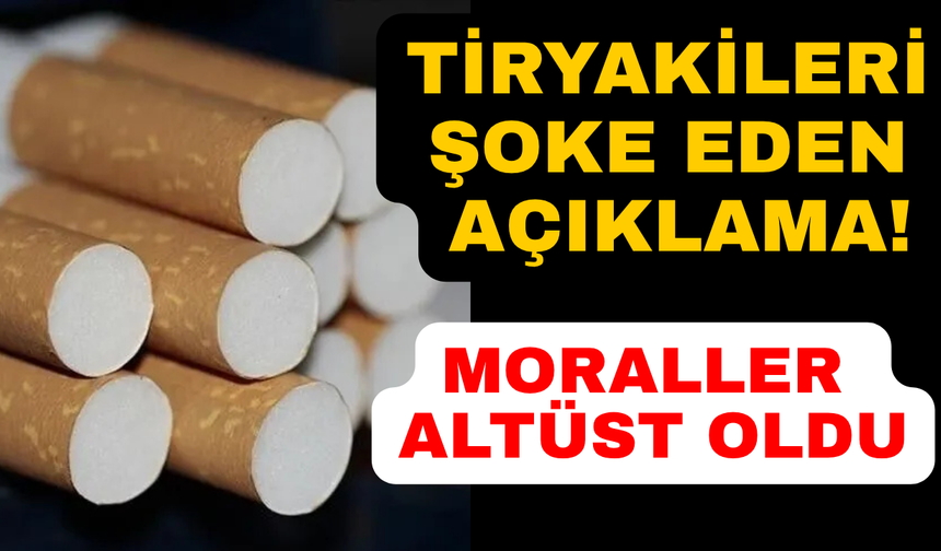 Tütün kullanımıyla ilgili dikkat çeken rapor