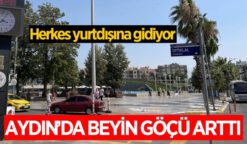 Aydın'da üniversite mezunları yurtdışına yöneliyor