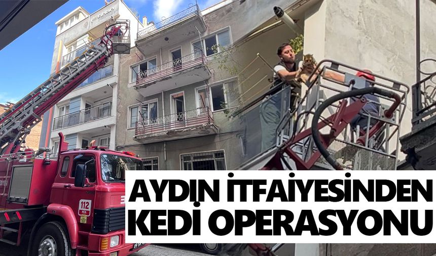Aydın itfaiyesinden kedi operasyonu