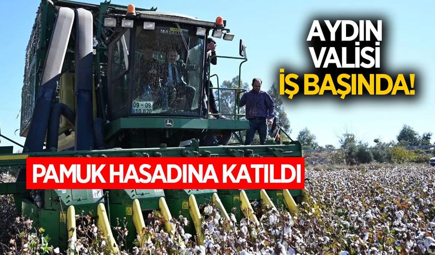 Aydın Valisi Varol, Söke ovasında pamuk hasadına katıldı