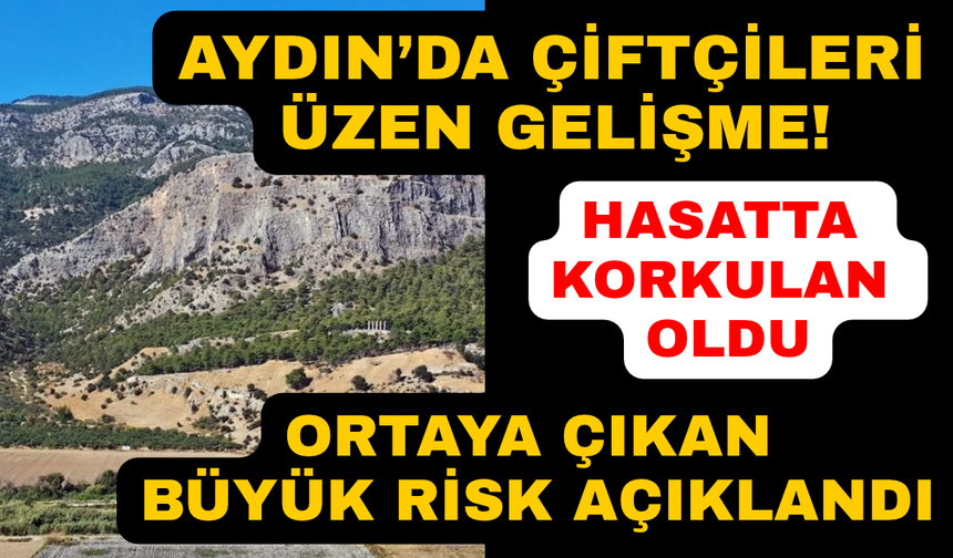 Aydın'da çiftçiler için yeni risk: Kimse bunu istemiyor