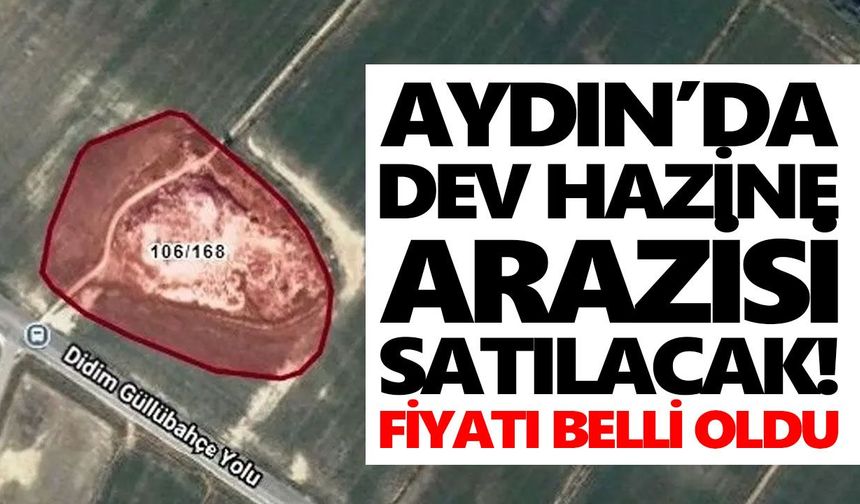Aydın’da dev hazine arazisi satılacak! Fiyatı belli oldu