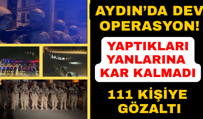 Aydın merkezli operasyonda 111 şüpheli gözaltına alındı