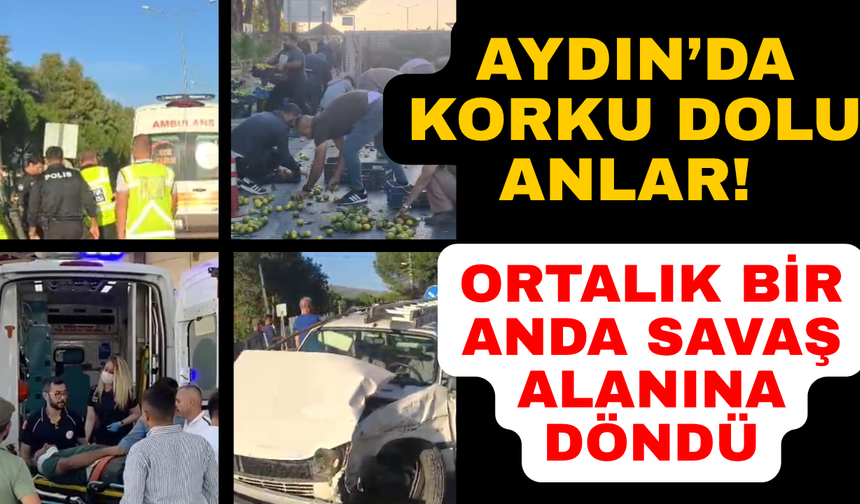 Aydın'da otomobille kamyonet çarpıştı: 1 yaralı