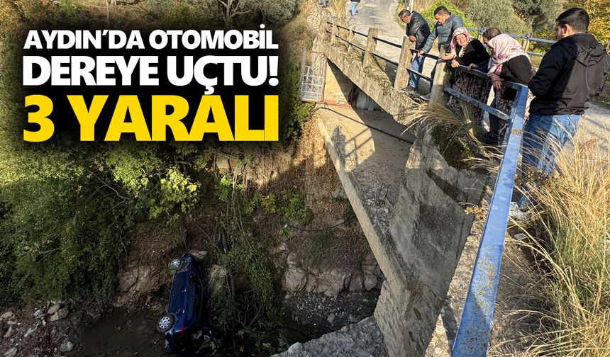 Aydın’da otomobil dereye uçtu! 3 yaralı
