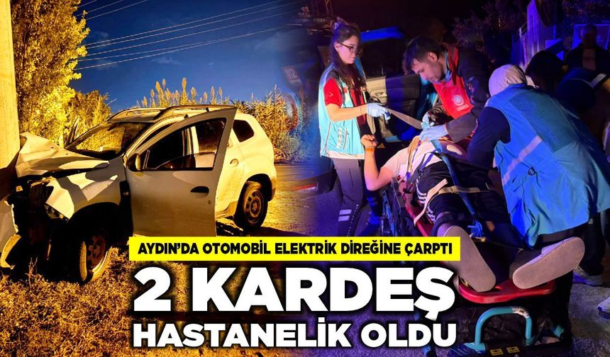 Aydın'da otomobil elektrik direğine çarptı, 2 yaralı