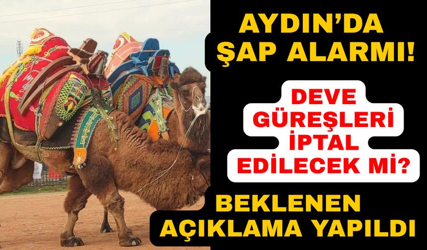 DEGÜF'ten Aydın'daki deve güreşleriyle ilgili açıklama