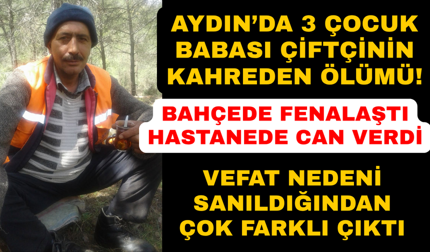 Aydın'da bahçede fenalaşan çiftçi hastanede yaşamını yitirdi