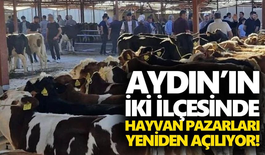 Aydın’ın iki ilçesinde hayvan pazarları yeniden açılıyor!