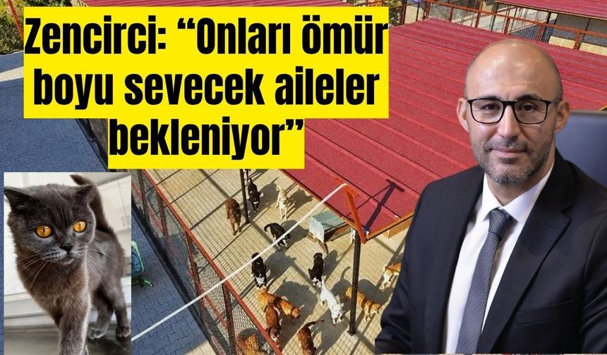 Başkan Zencirci’den “Bir canın yuvası olun” çağrısı