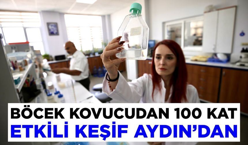 Böcek kovucudan 100 kat etkili keşif Aydın’dan
