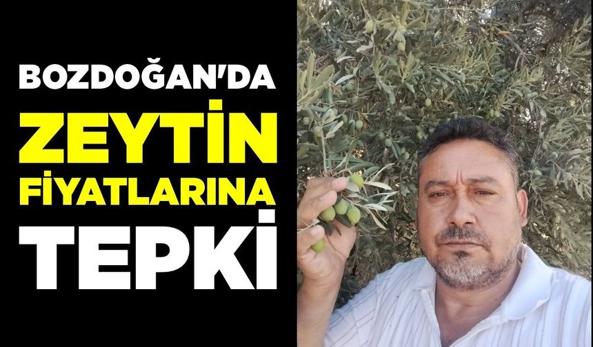 Bozdoğan'da zeytin fiyatlarına tepki