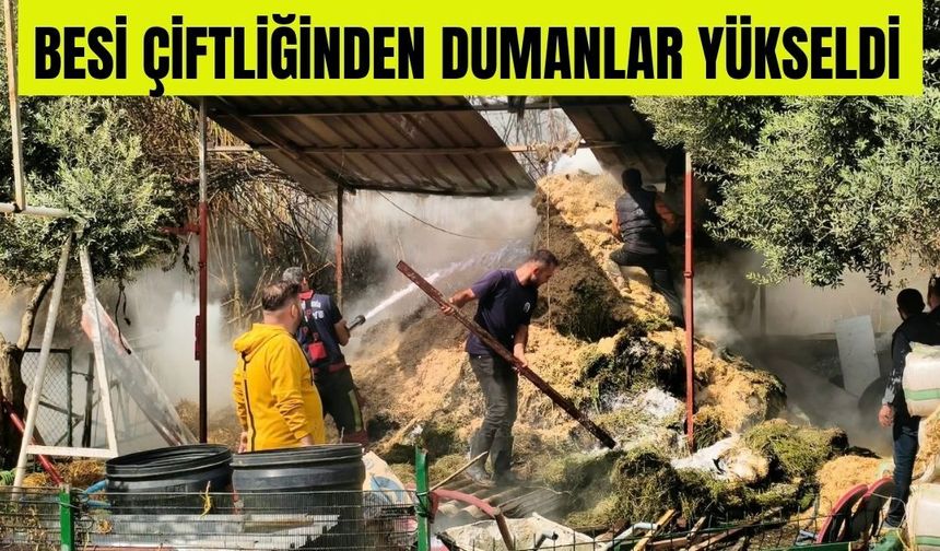 Bozyurt’ta korkutan yangın