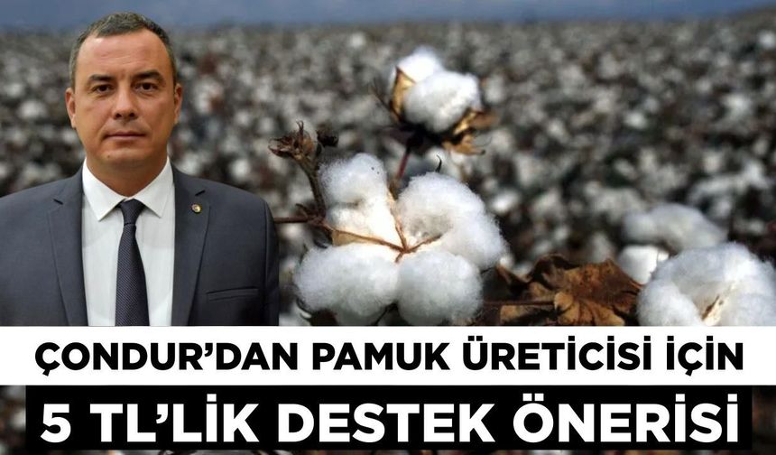 Çondur’dan pamuk üreticisi için 5 TL’lik destek önerisi