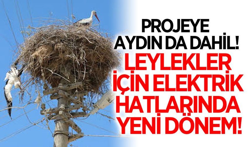 Aydın dahil 5 ilde kuşlar için güvenli gökyüzü hedefi