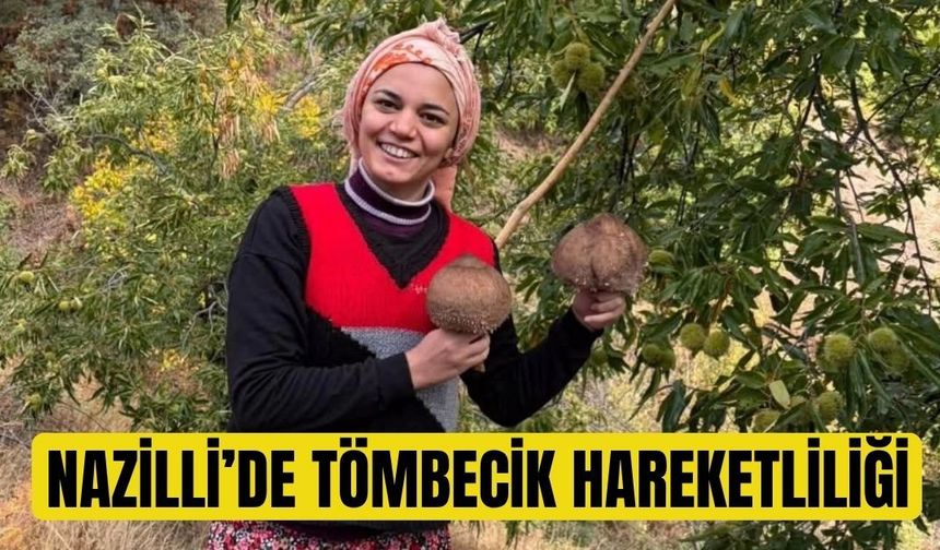 Nazilli'de  tömbecik hareketliliği