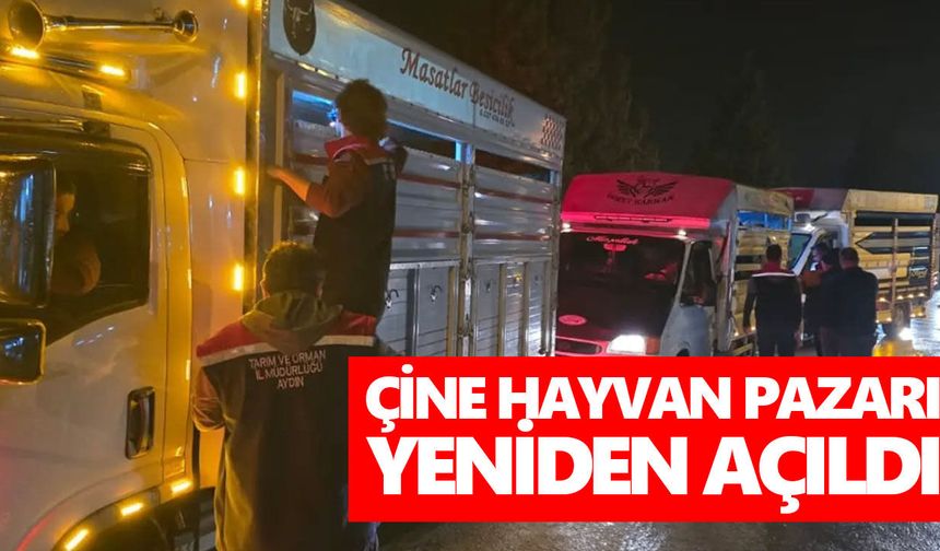 Şap nedeniyle kapatılmıştı! Çine Hayvan Pazarı yeniden açıldı