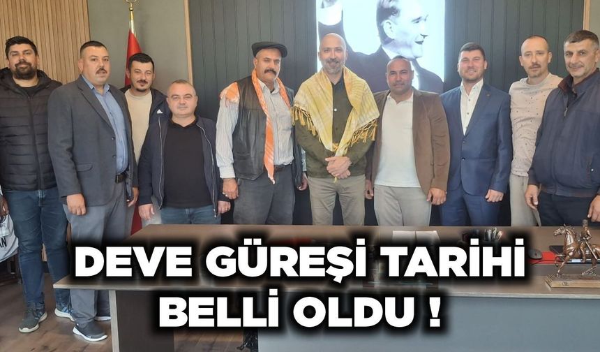 Söke'de deve güreşi tarihi belli oldu