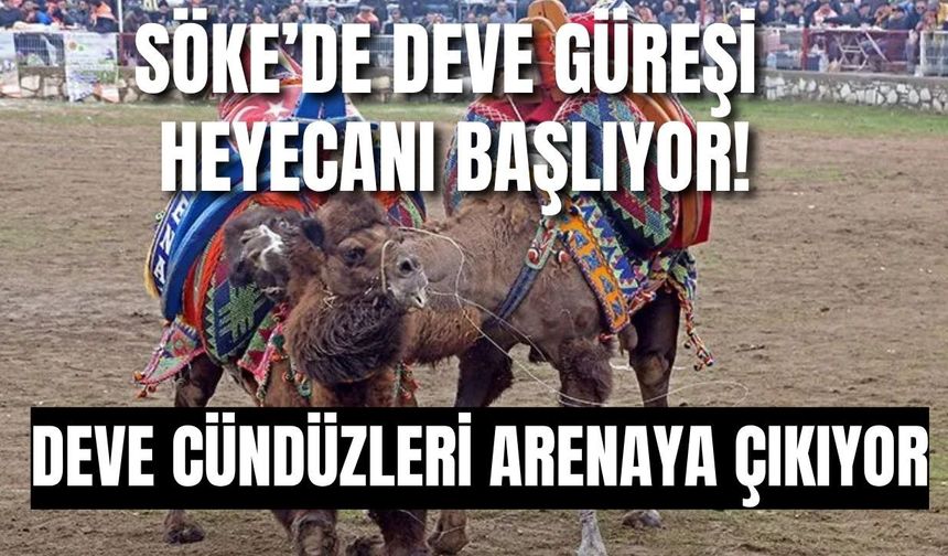 Söke’de geleneksel güreşler öncesi dikkat çeken ziyaret