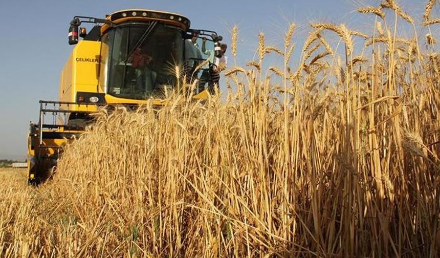 G7 ülkelerinden küresel tahıl krizi uyarısı