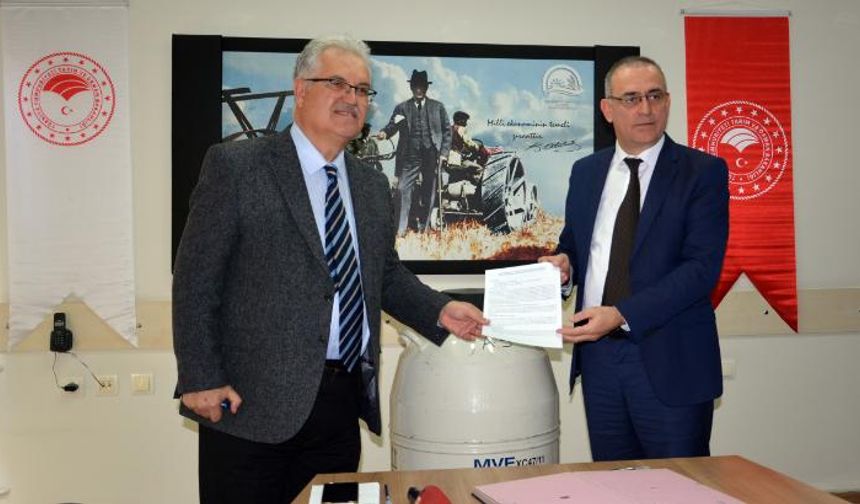 Dişi Sperma Kullanımı Projesi protokolü imzalandı