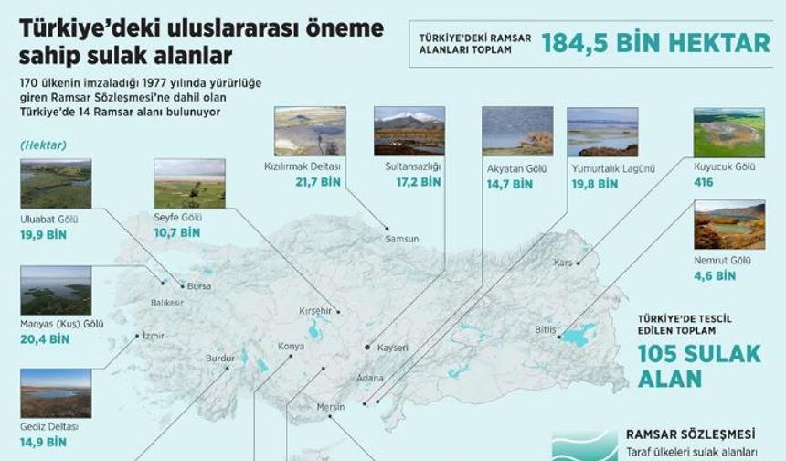 Sulak alanlar iklim kriziyle mücadelede önemli rol oynuyor