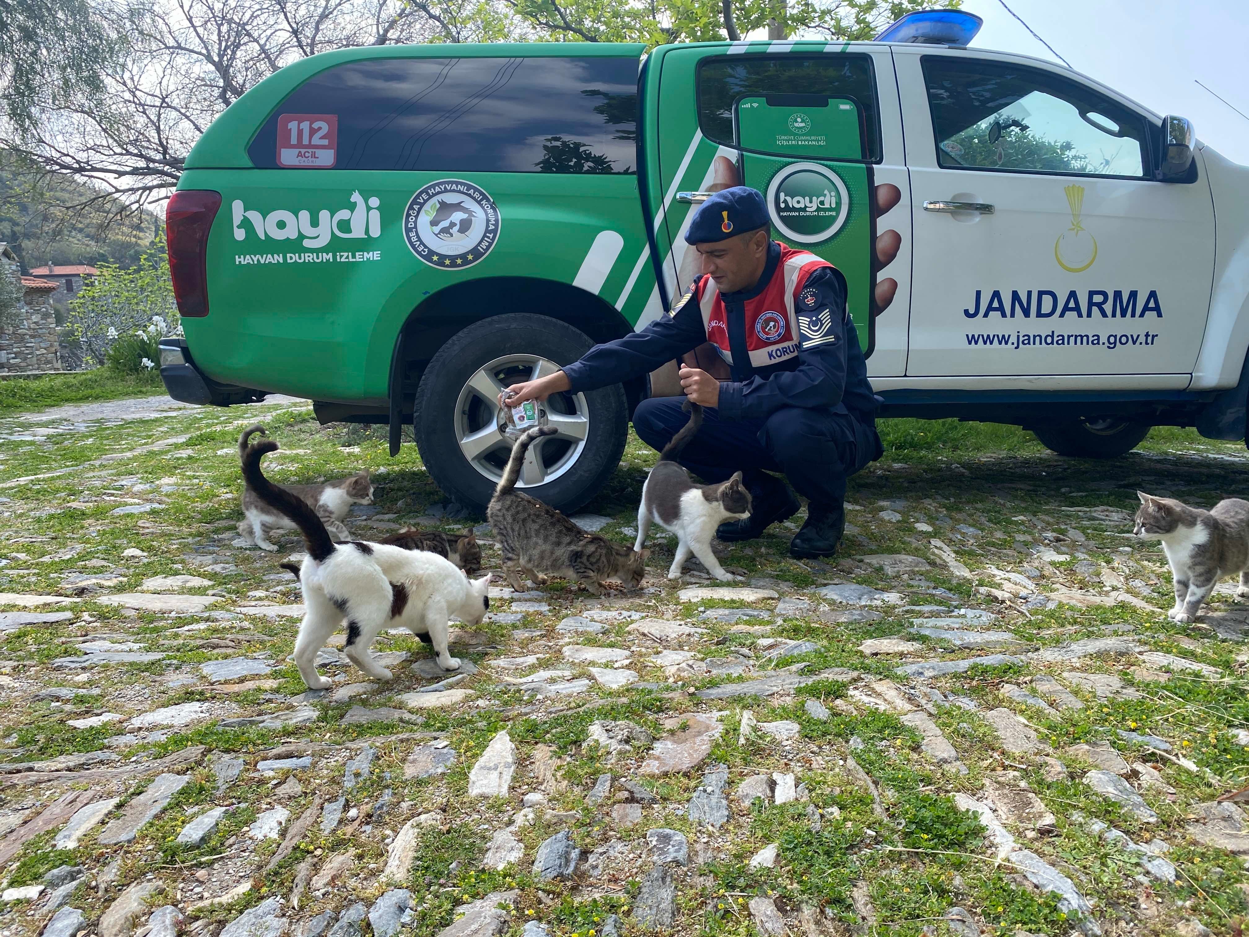 Aydın jandarması orman yangınları 3