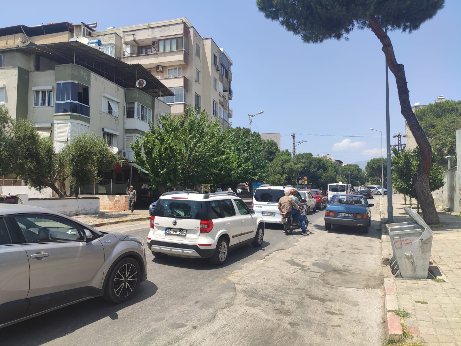 WhatsApp Image 2023-07-04 at 12.59.52