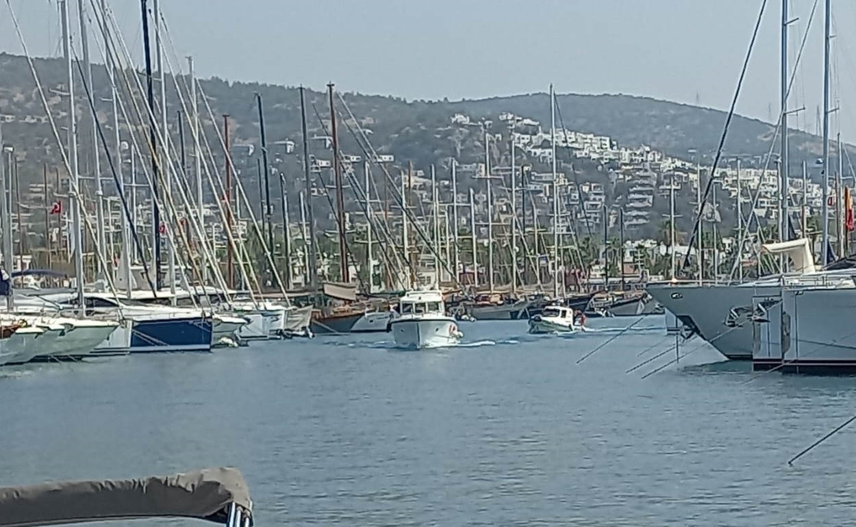 AA-20230819-31951869-31951867-BODRUMDA_ARI_SOKMASI_SONUCU_FENALASAN_KISI_KURTARILAMADI