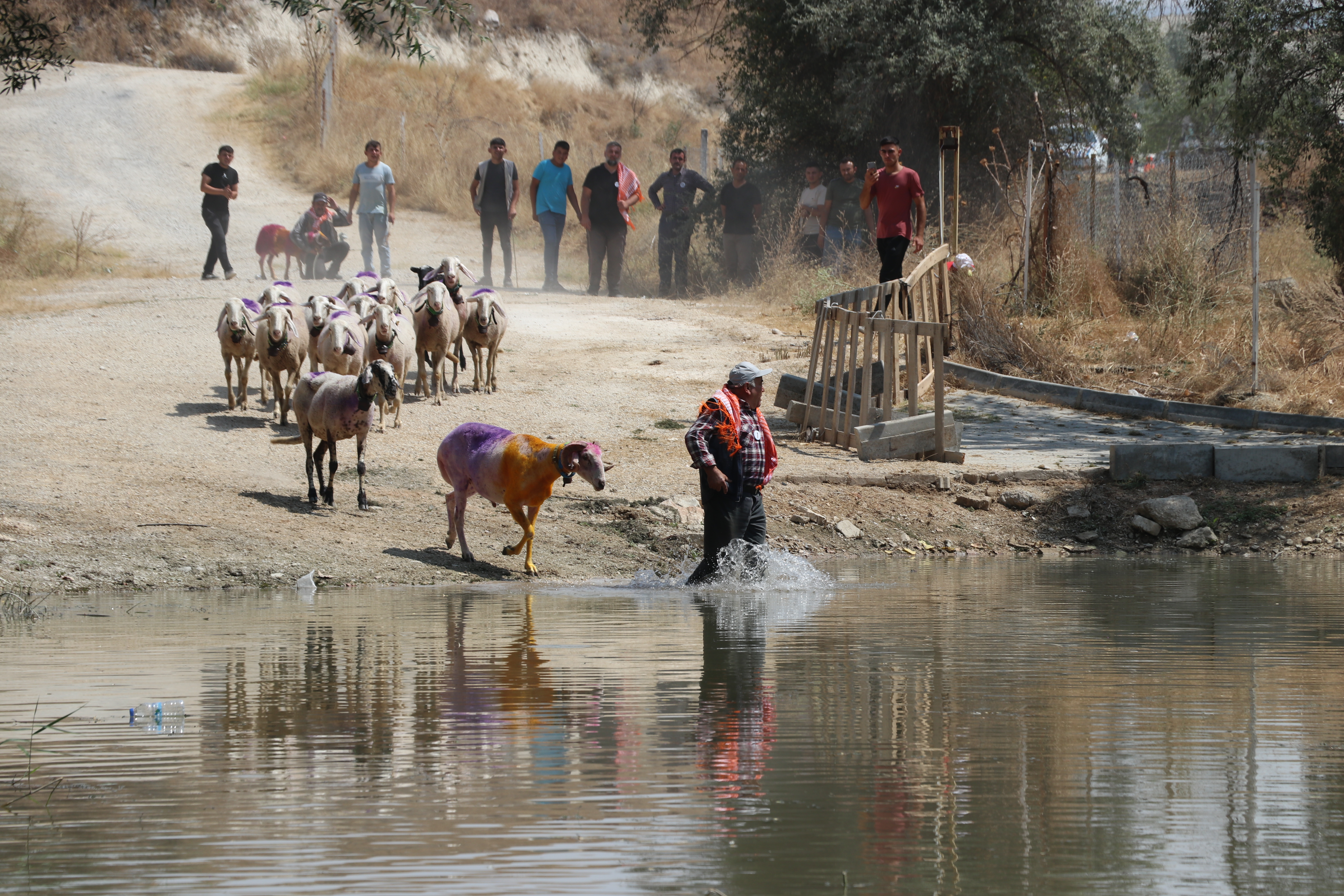 AA-20230827-32008343-32008326-DENIZLIDE_850NCI_SUDAN_KOYUN_GECIRME_YARISMASI_YAPILDI