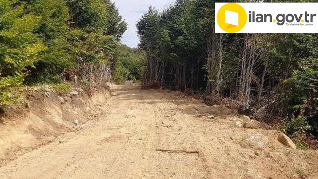 Muğla Orman İşletme Müdürlüğü orman yolu yaptıracak