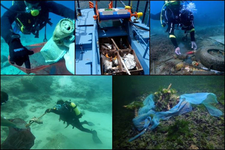 02.06 1 New Folder (10) New Folder (19) Befunky Collage