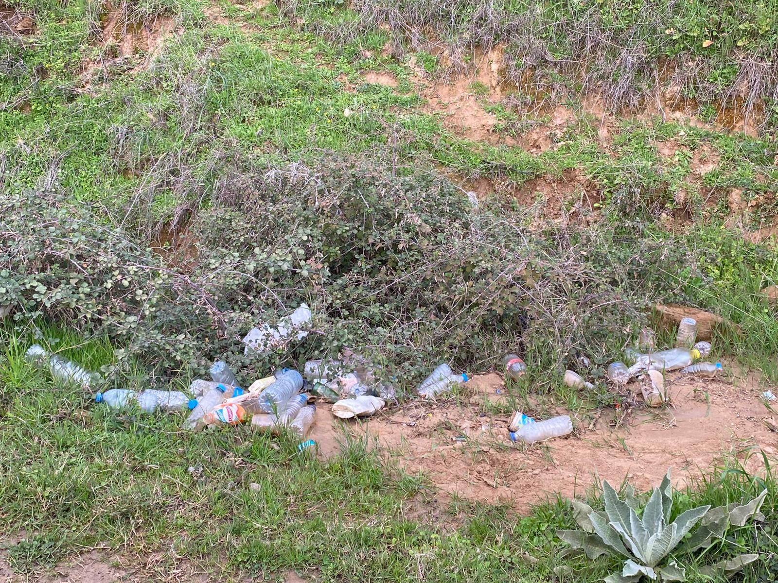 Whatsapp Image 2025 02 04 At 09.32.19