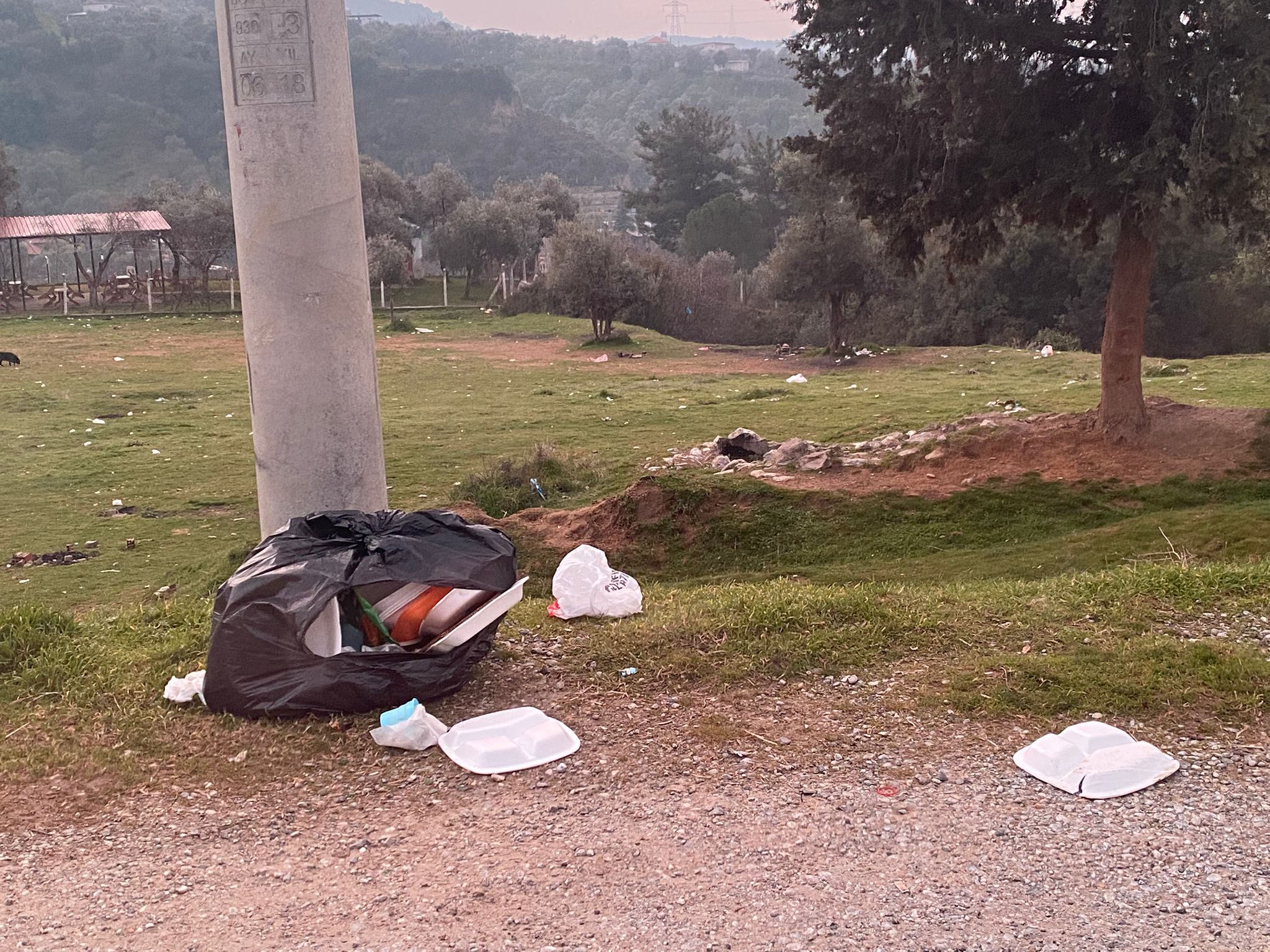 Whatsapp Image 2025 02 04 At 09.32.25