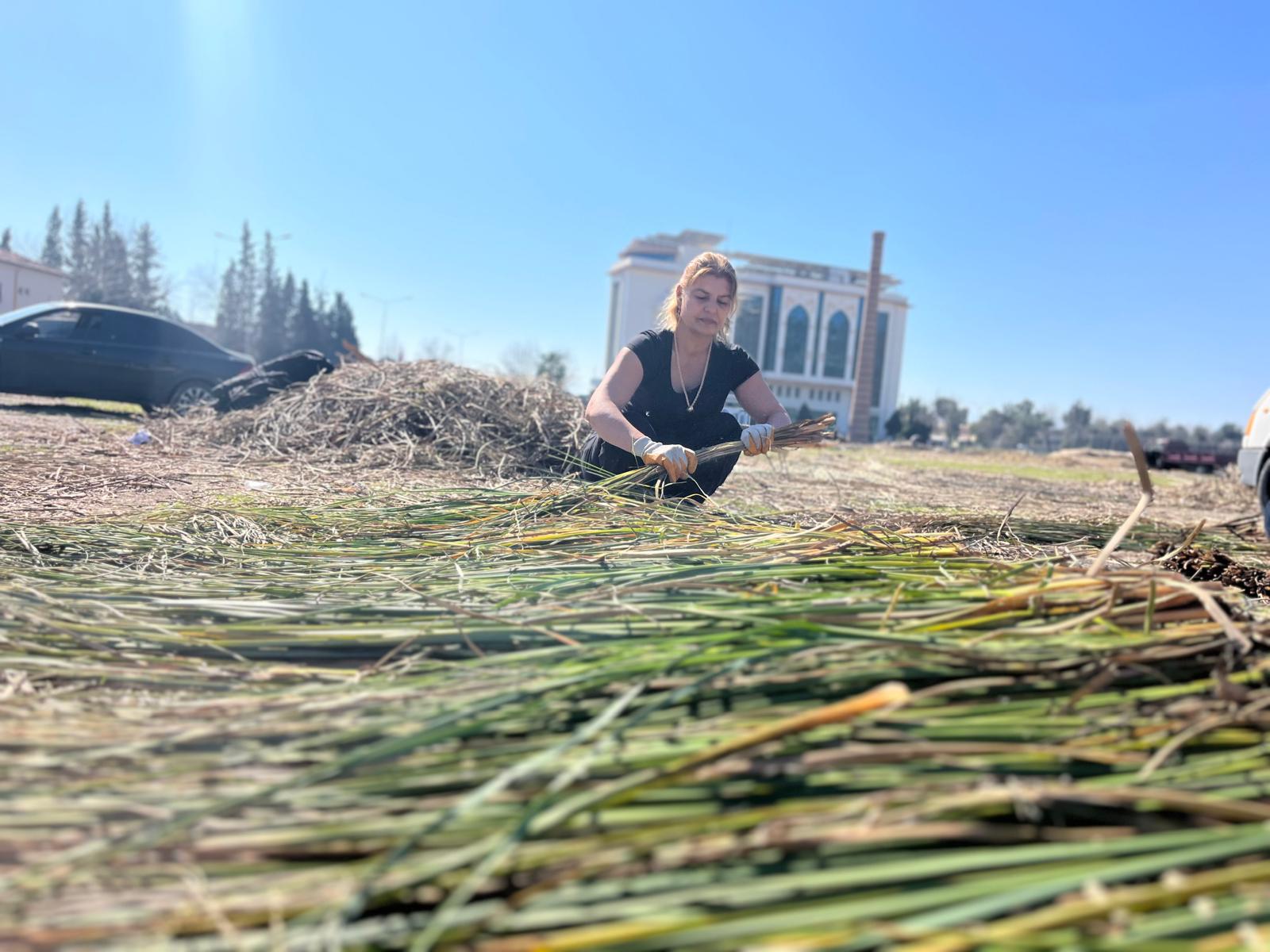 Whatsapp Image 2025 03 09 At 19.49.01