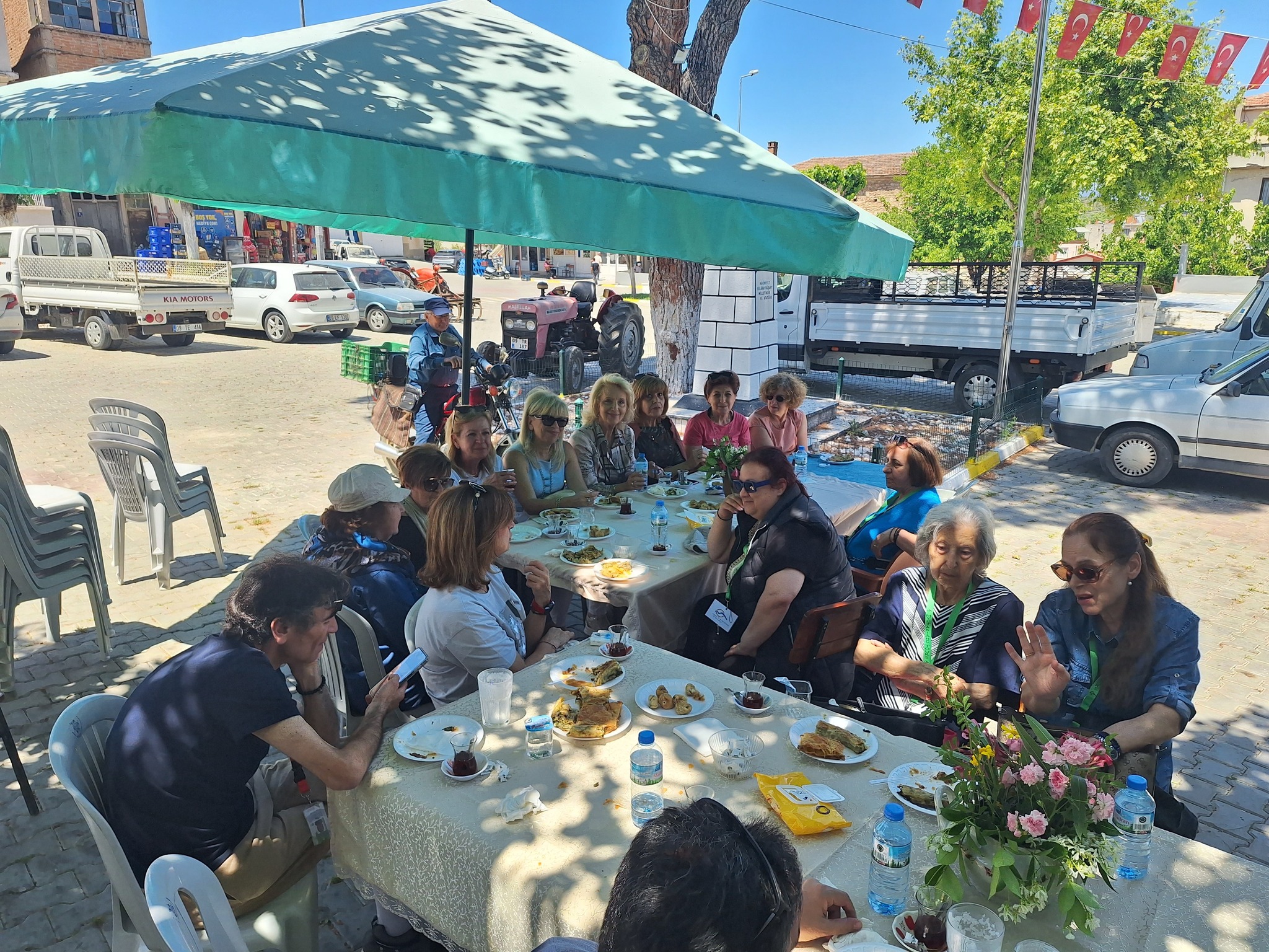 497462207 3972609066341179 7290484214629837290 N