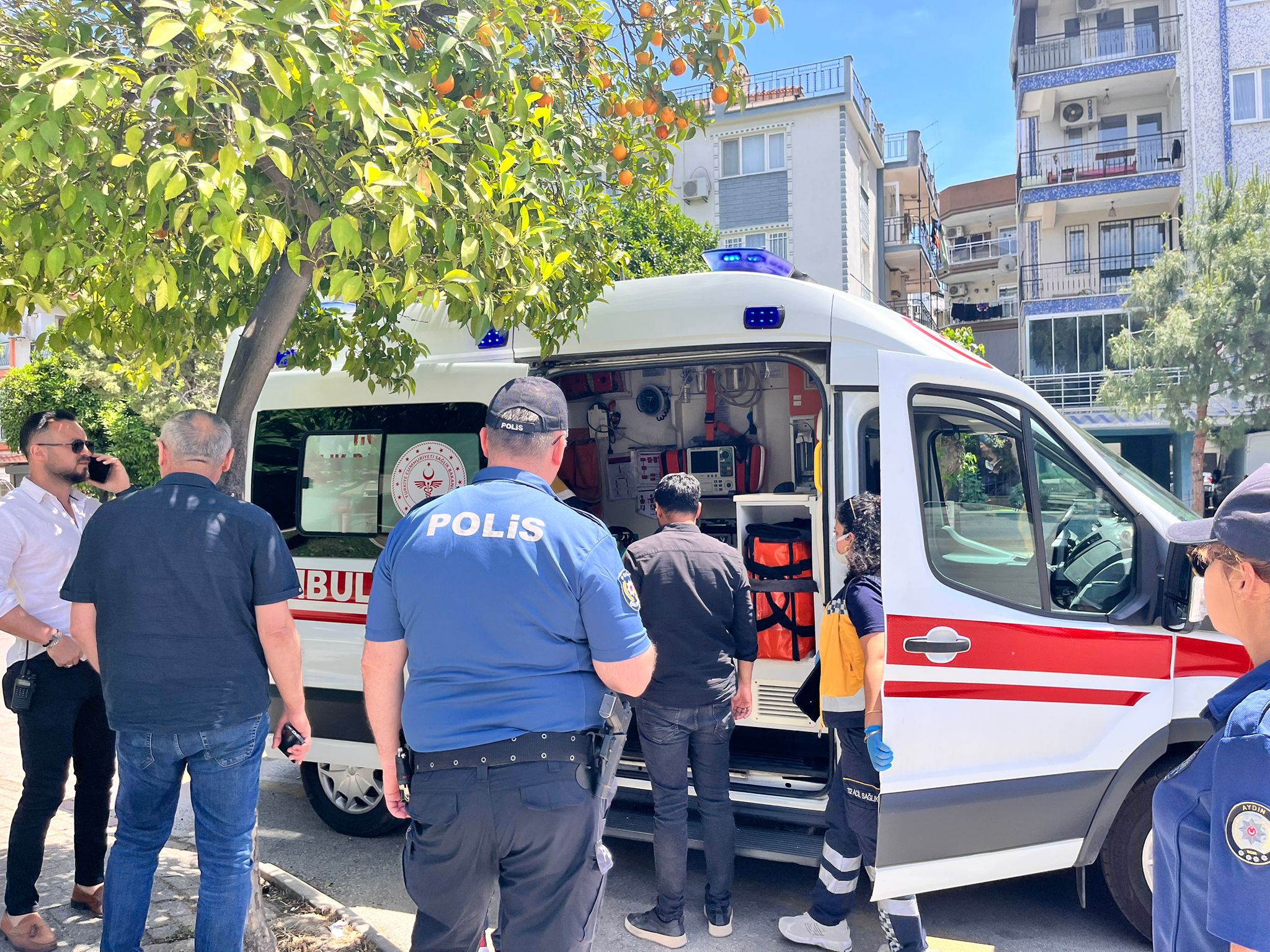 Whatsapp Image 2025 05 12 At 14.10.00