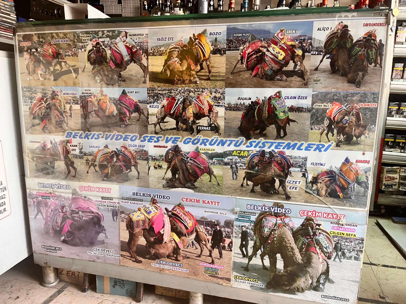 Whatsapp Image 2025 05 22 At 15.58.09 (2)