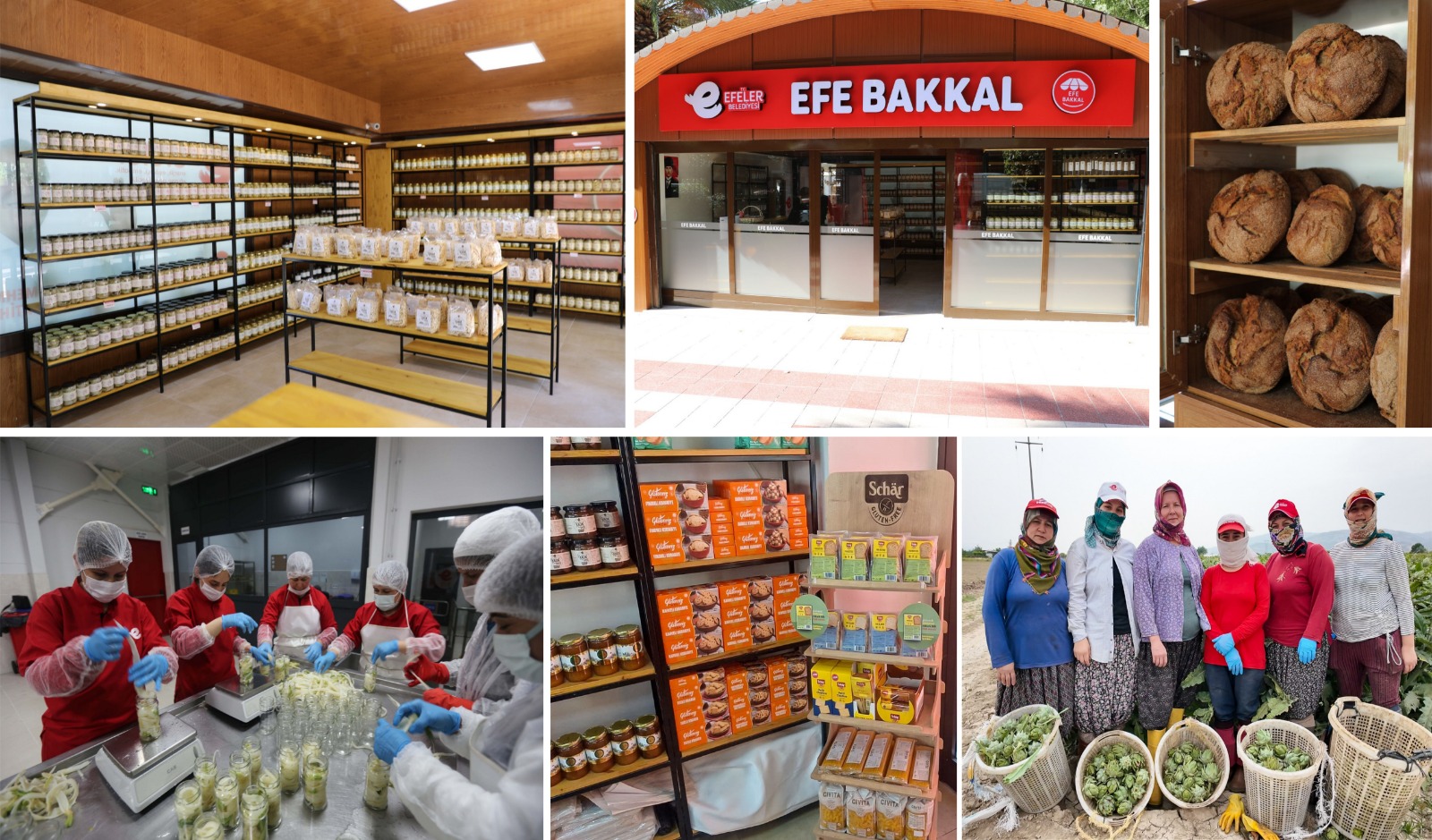 Whatsapp Image 2025 05 26 At 12.09.03