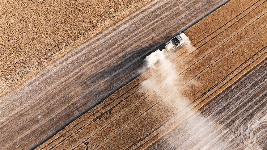 263 Milyon Liralık Tarımsal Destek Çiftçilerin Hesaplarına Yatıyor