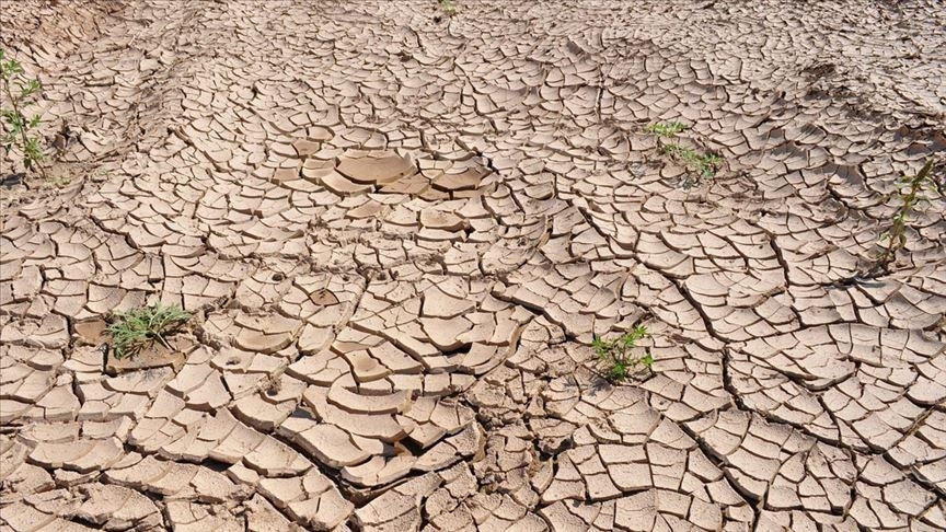 Kuraklık 2050’Ye Kadar 1 Milyar Kişiyi Yerinden Edebilir
