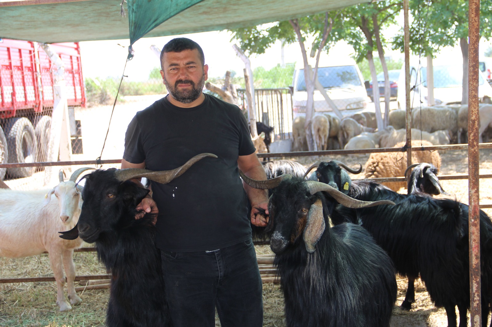 Whatsapp Image 2025 06 02 At 14.23.42