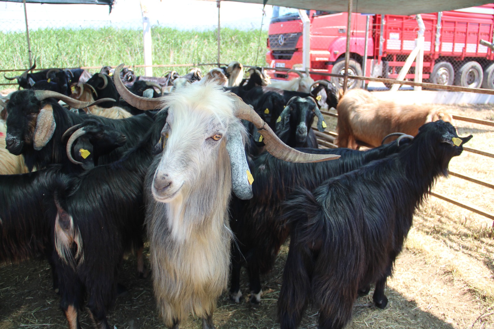 Whatsapp Image 2025 06 02 At 14.23.43