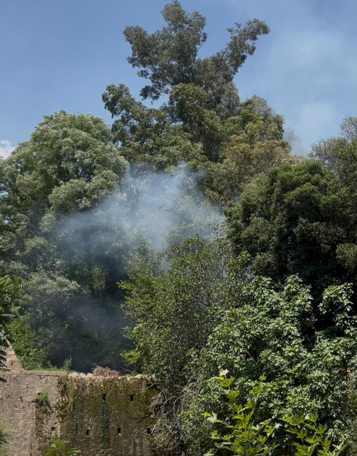 Whatsapp Image 2025 06 10 At 15.08.20