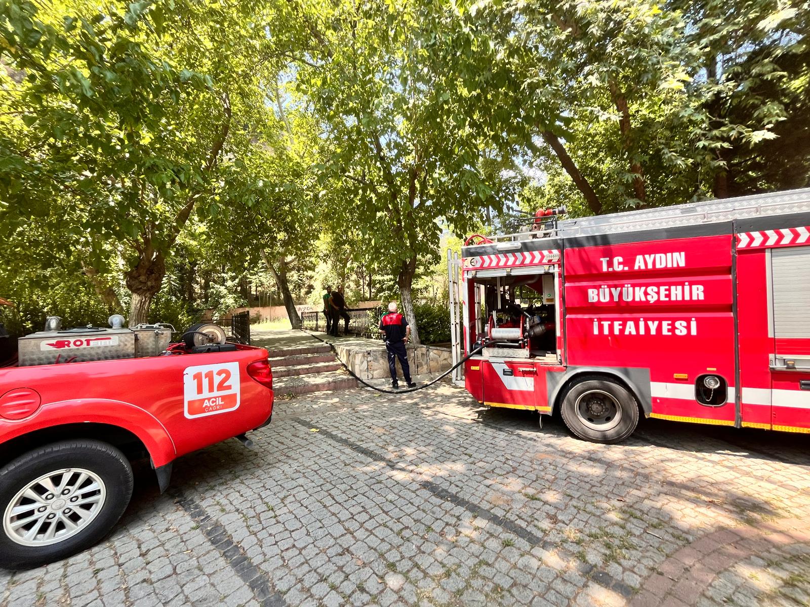 Whatsapp Image 2025 06 10 At 15.15.28