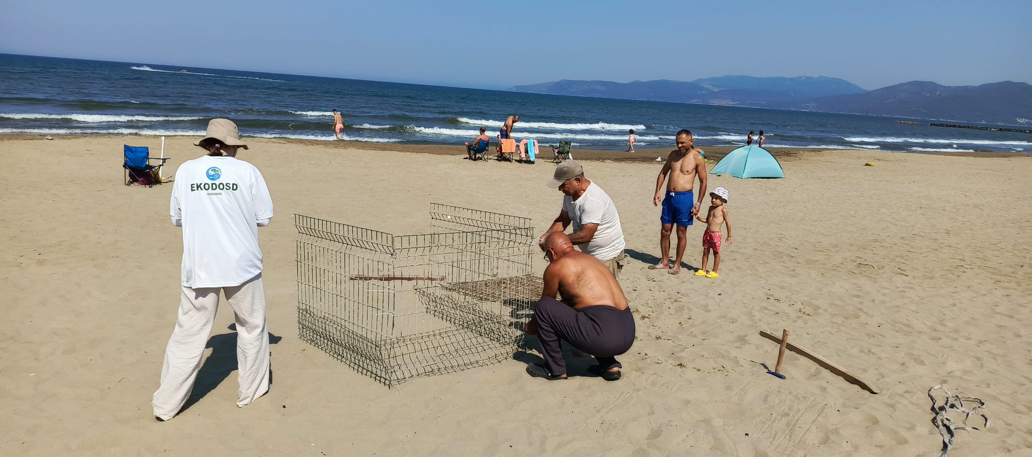 504432374 1170913668409072 2809785833345121723 N