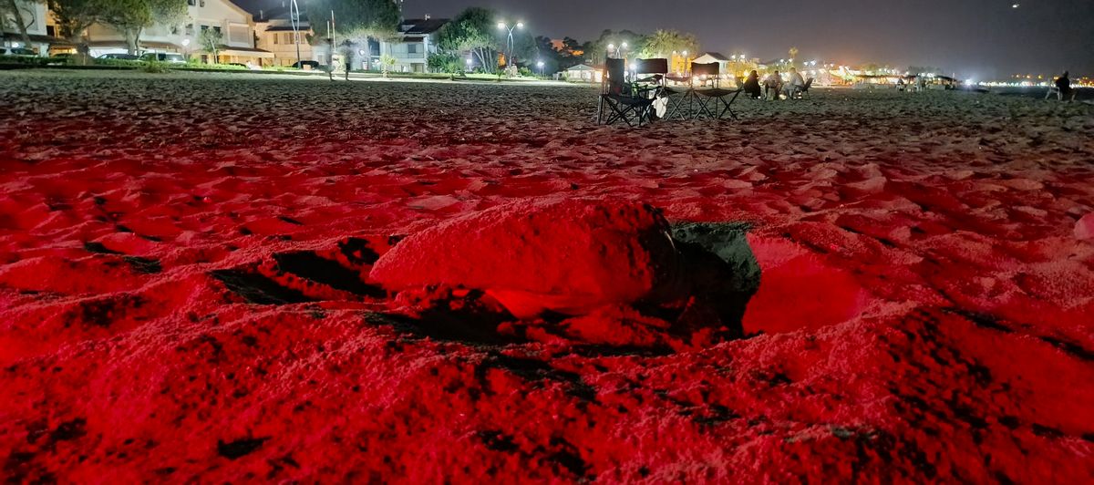 514338566 10161886393452075 2687230833663663839 N